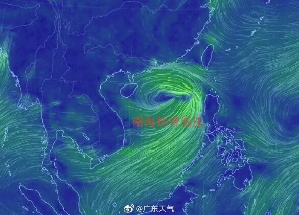 新台风韦帕来了！大暴雨+9级大风即将杀到，潮汕部分地区发布台风蓝色、白色预警！最新路径…