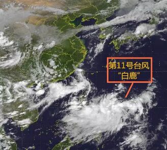 紧急！台风“白鹿”将正面袭击潮汕！迎来特大暴雨和强风！