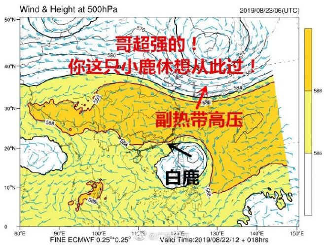 汕头升级为台风蓝色预警，周末将有暴雨！台风“白鹿”预计在汕尾到漳州之间登陆