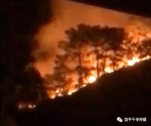 潮州饶平汤溪山林火灾，一批消防员冲进火场灭火 