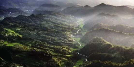 潮汕地区大部分人选择在晚上结婚，为什么？看完你就知道了 