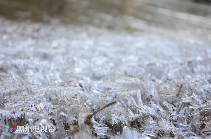 潮州凤凰天池景区今年冬天首次出现结冰，现场图片来了！