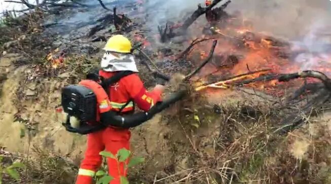 潮州一男子清除杂草用“火攻”，结果引发山火被行拘！