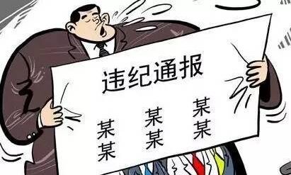 潮汕某村党支部书记、村委会主任违规侵害群众利益典型问题被通报！