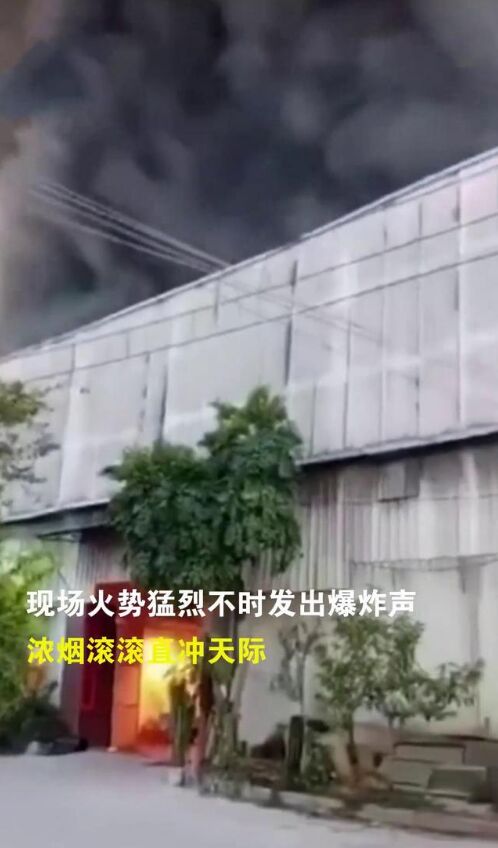 潮州市湘桥区古巷镇的一纸箱厂发生火灾