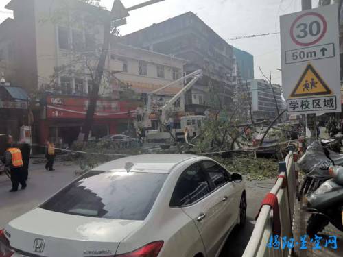 天福路中段有工人高空据树枝，现场一轿车被砸