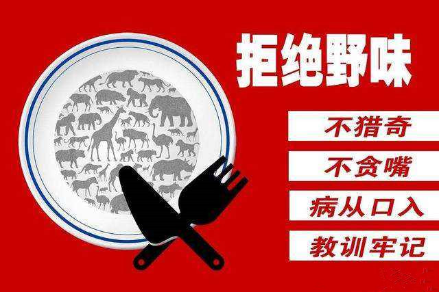 广东通过史上最严野生动物条例，5月1日起施行！食野味最高罚款20倍