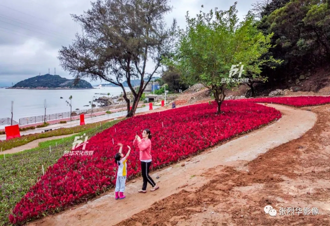 妈屿海滩山坡将种下近百万鲜花，打造“花海旅游”