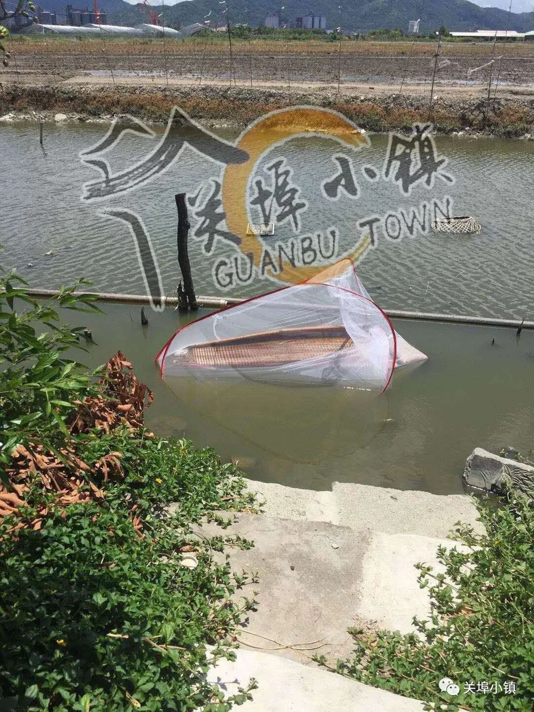 气愤！潮州某村一男子竟把母亲赶出家门，床都被扔到河里去！