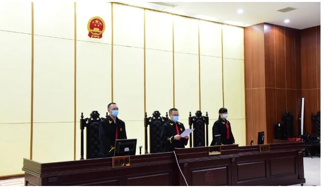 把持村委为害一方……汕头澄海31人涉黑案宣判，首要分子获刑25年