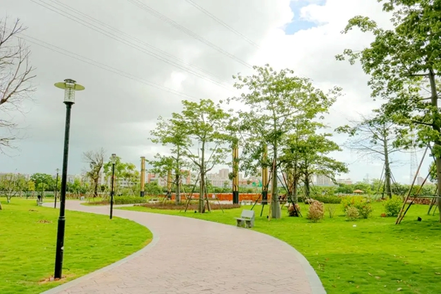 汕头公园大建设！东海岸首座红树林公园启动建设，津湾、东海岸公园建设已初具雏形，各大公园开启“美颜模式”