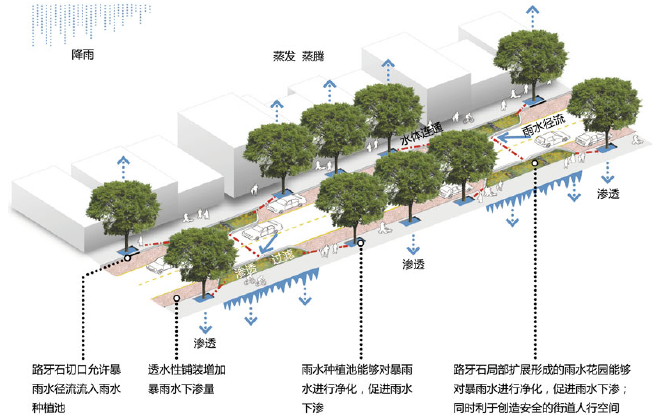 汕头将建设“海绵城市”，以后下雨天不用担心“水浸街”了？