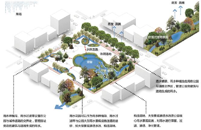 汕头将建设“海绵城市”，以后下雨天不用担心“水浸街”了？