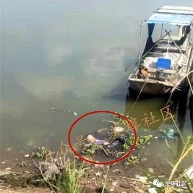 潮州关埠一码头边发现浮尸，愿逝者安息！