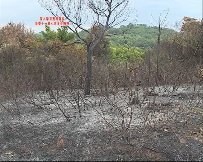 揭西京溪园镇有一村民用火药烧黄蜂，结果不慎引发山火，请大家注意防火