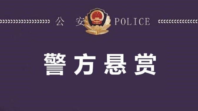 潮南张武辉，外号“老二”，看到请报警！