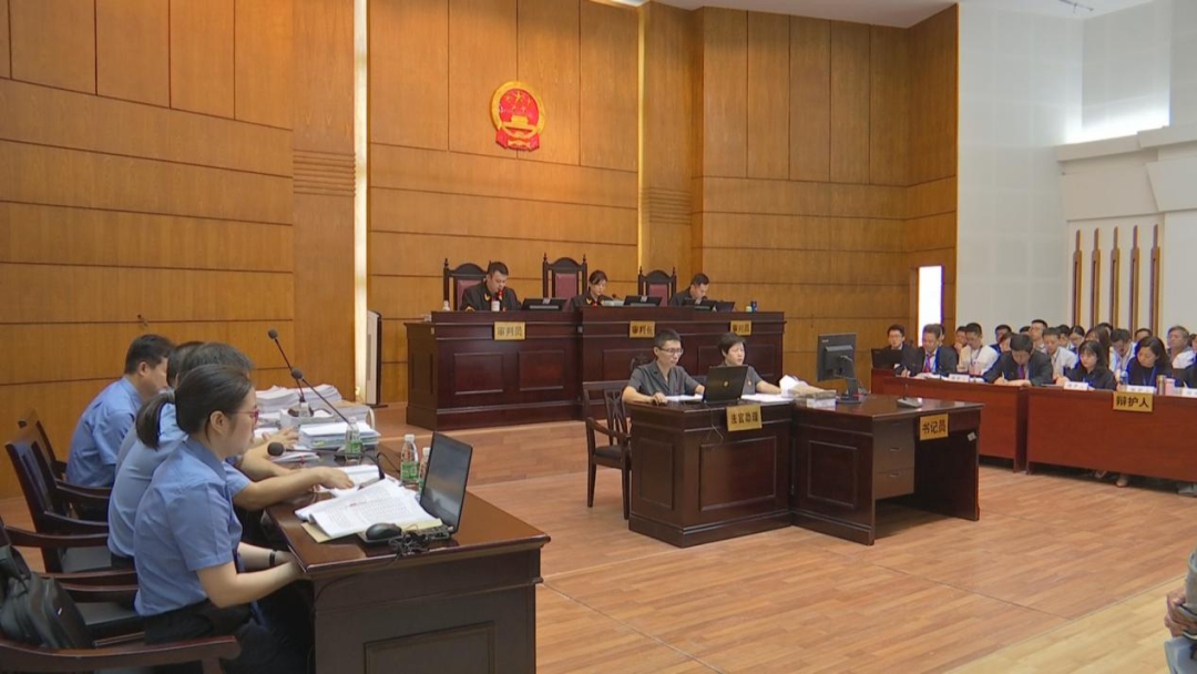 汕头潮南区司马浦镇“村霸”连贤明宣判结果出来了，获刑25年